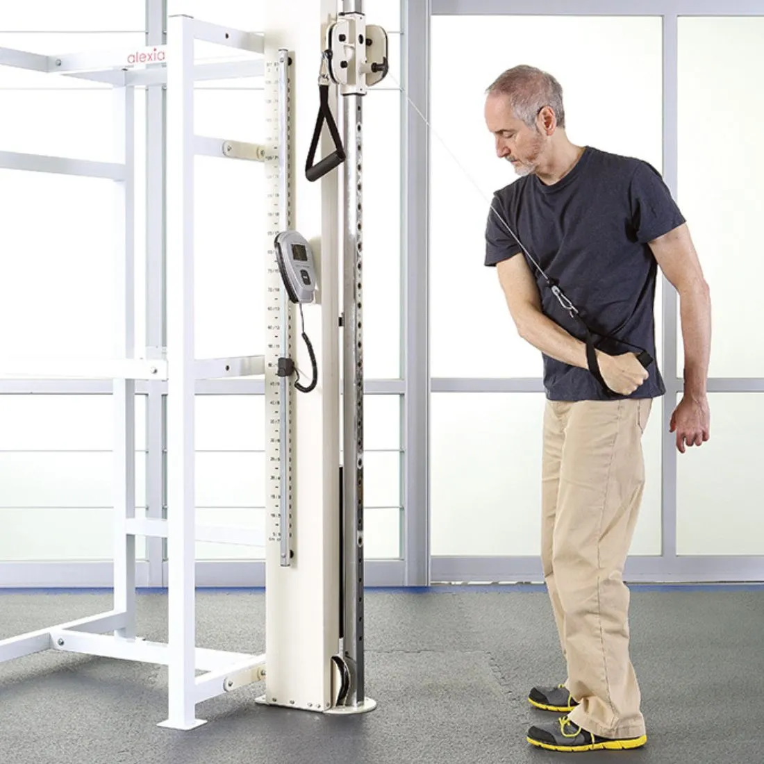 Alexia Limbs Pulley Trainer