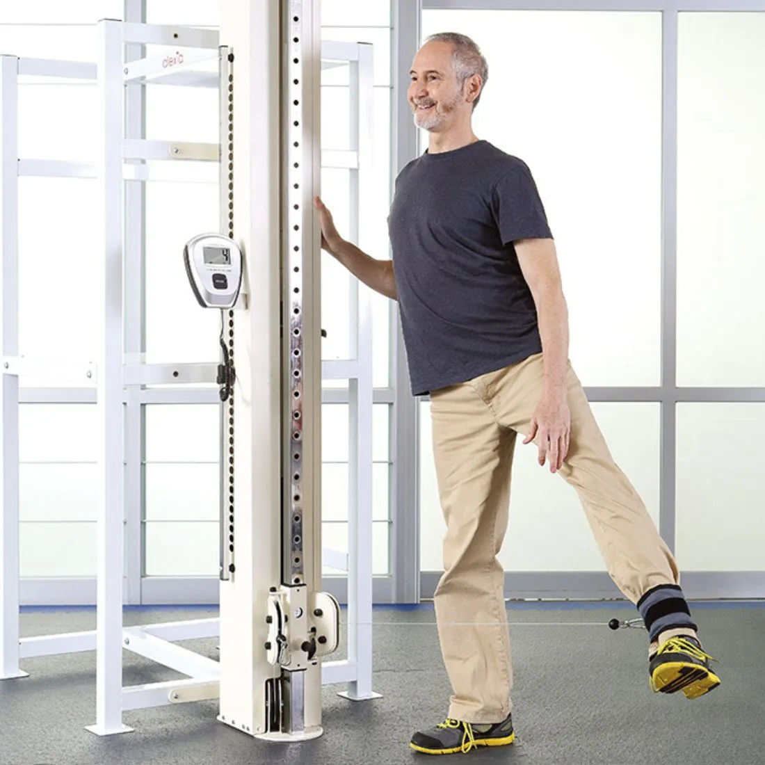 Alexia Limbs Pulley Trainer