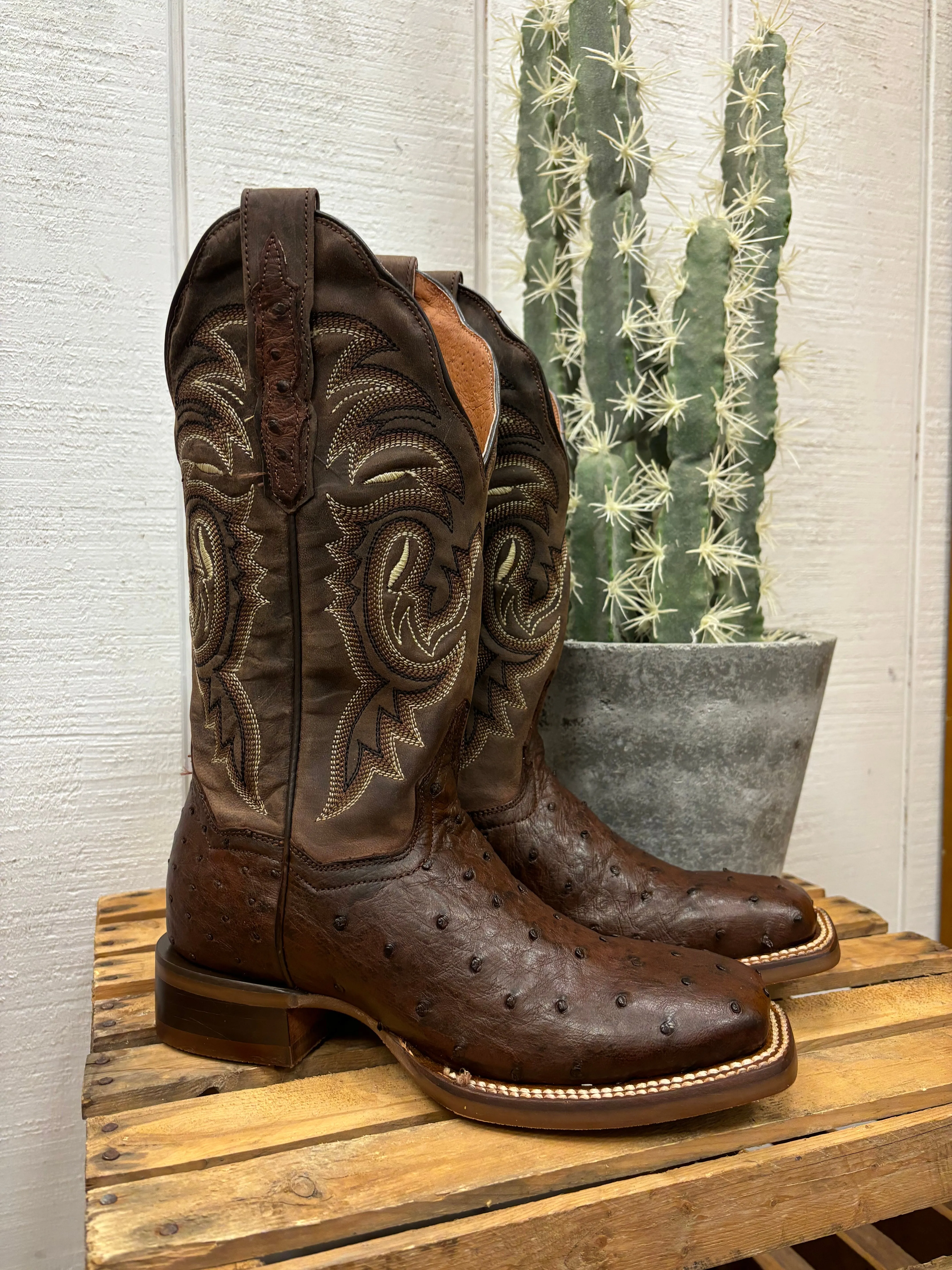 Dan Post Women's Kylo Chocolate Full Quill Ostrich Square Toe Cowgirl Boots DP5250