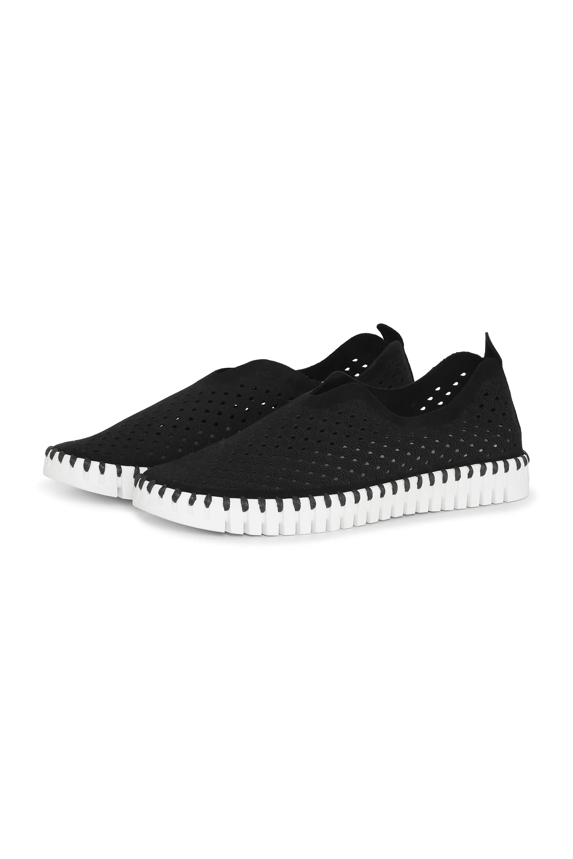 IJTulip139 Flats