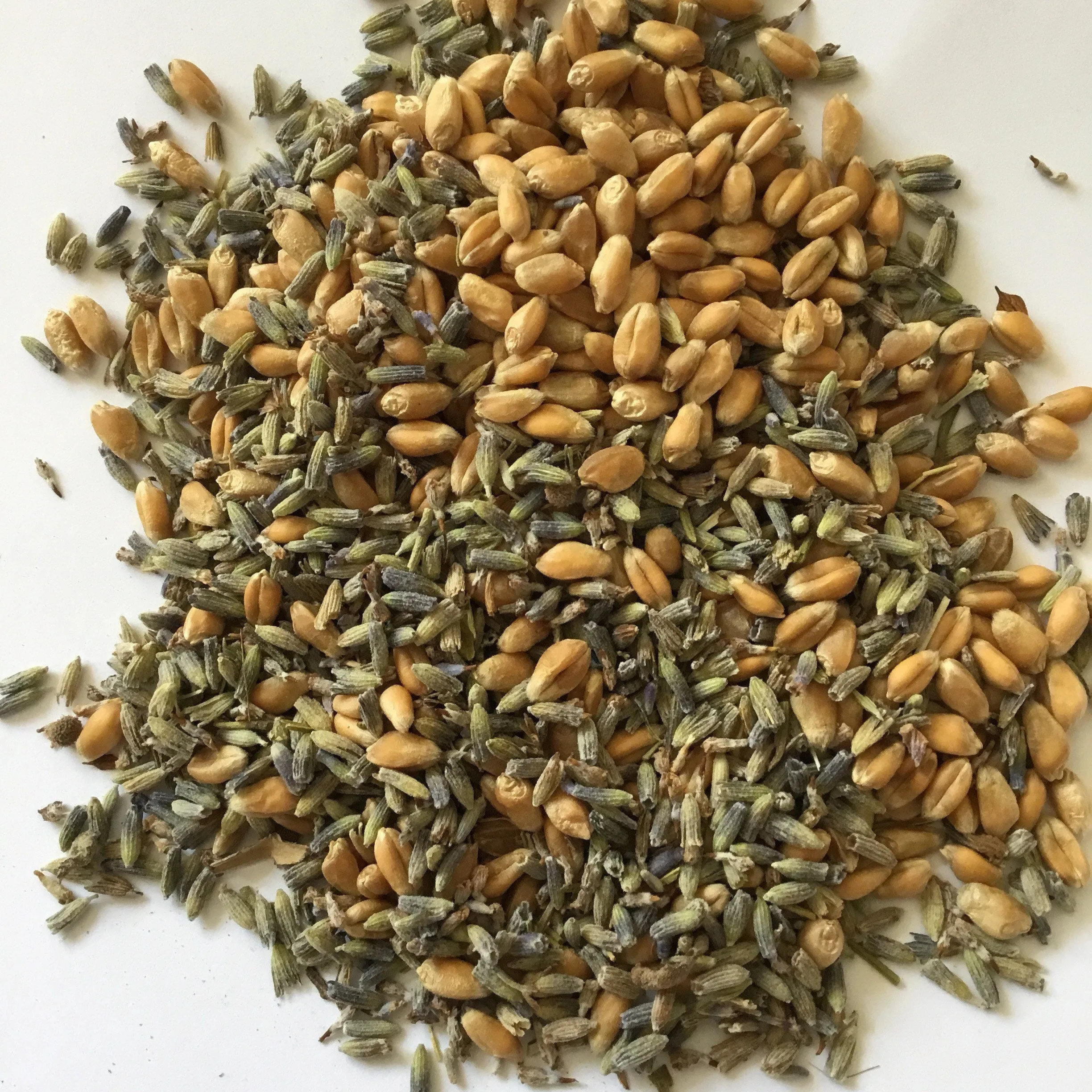 Men’s long cotton wheat bags, seasonal self care gift. Lavender scented stocking filler heating pad. Practical eco-friendly gift for him