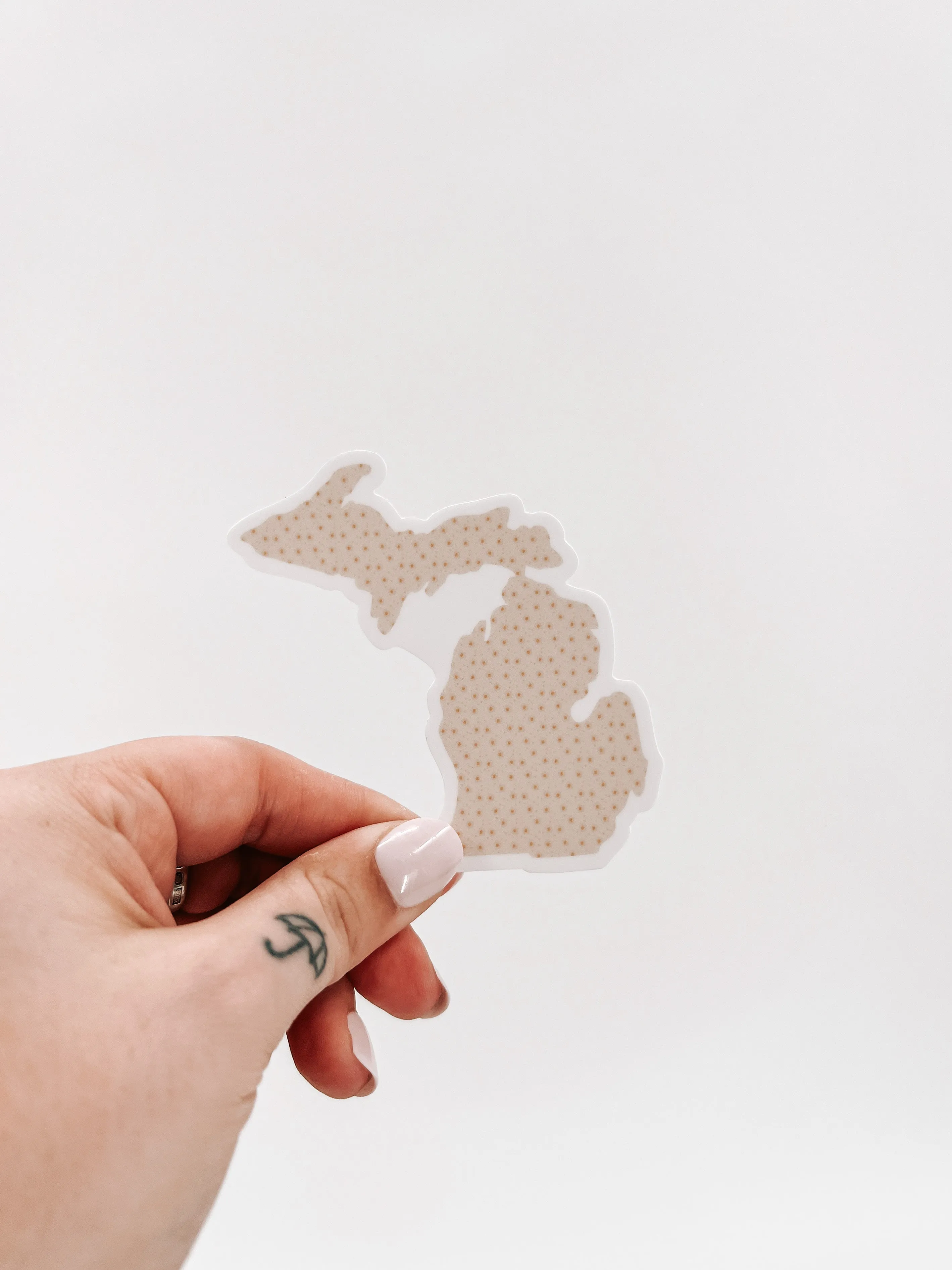 Michigan State Sticker