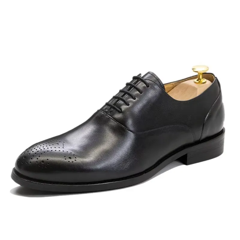 Ostrawelle Lace Oxfords