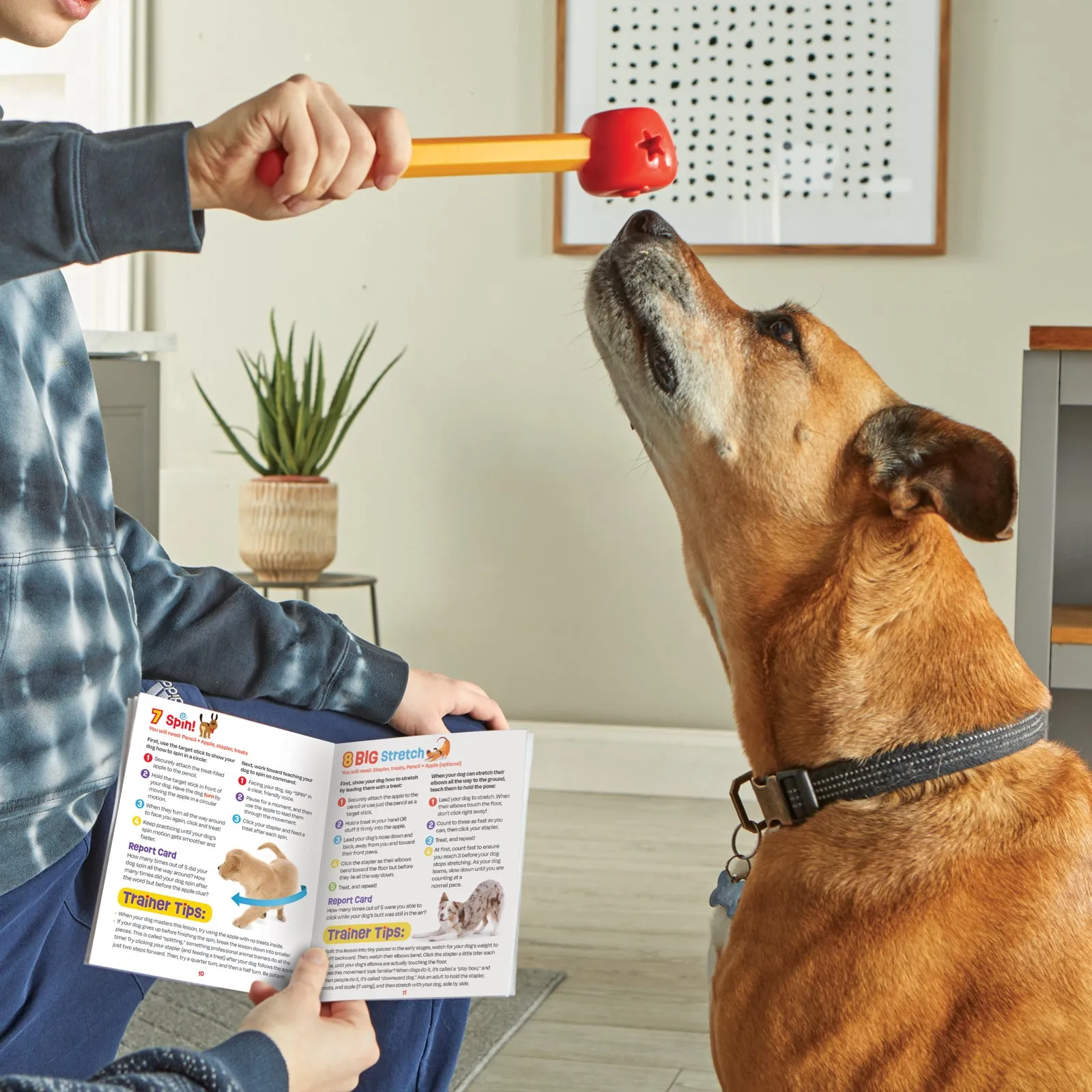 Pooch School! Dog Training Set